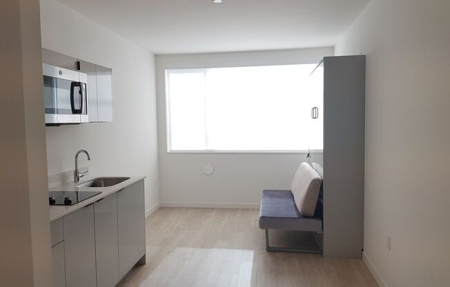 Studio, 1 bath, 214 sqft, $1,145, Unit 101