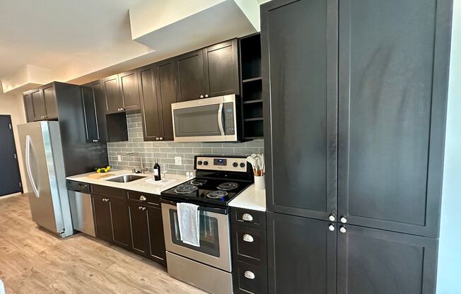 1 bed, 1 bath, 552 sqft, $2,025, Unit Unit 308