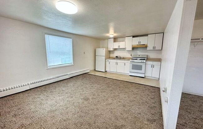 Studio, 1 bath, 500 sqft, $895, Unit 01