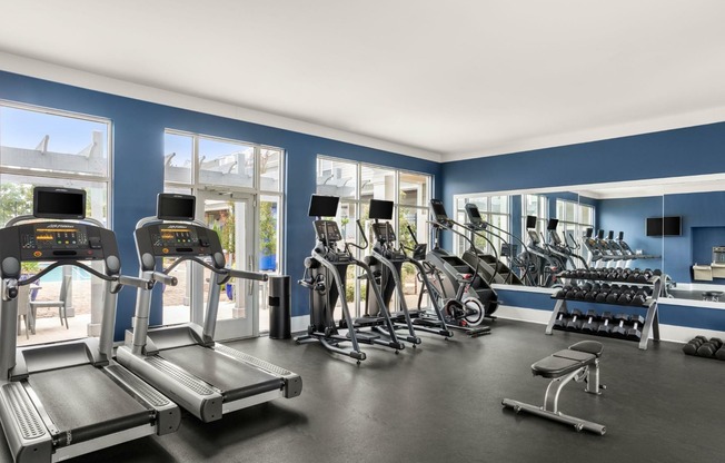 CityPark View - Two Fitness Centers