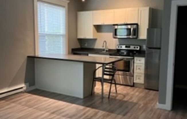 1 bed, 1 bath, 521 sqft, $1,485, Unit 203