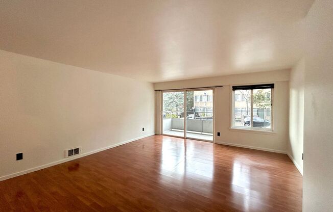 Studio, 1 bath, 464 sqft, $1,325, Unit 109