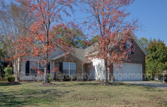 13343 ARBOR MDWS CT