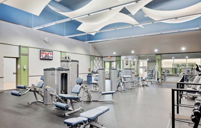 Fitness Center | Via Lugano