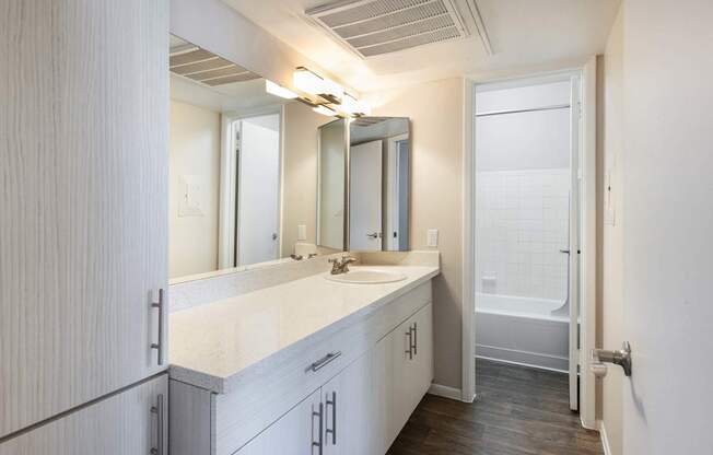 a bathroom with a sink and a mirror and a shower