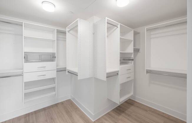 Premium Luxury Units Master Closet