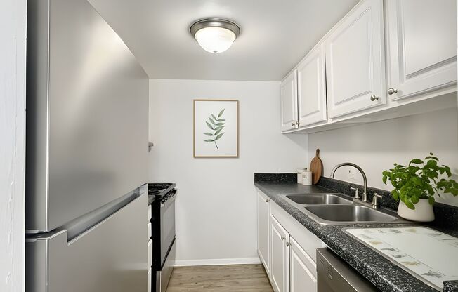 1 bed, 1 bath, 439 sqft, $1,255