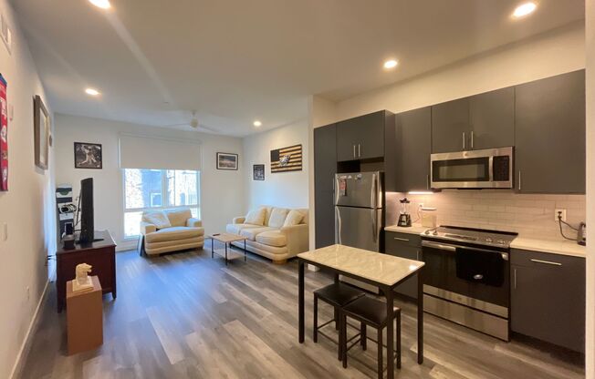 1 bed, 1 bath, $1,295, Unit 203