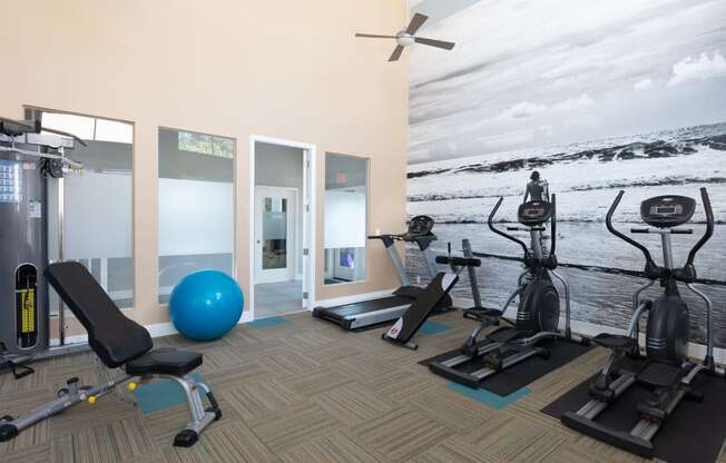 a gym with cardio equipment and a mural of a beach