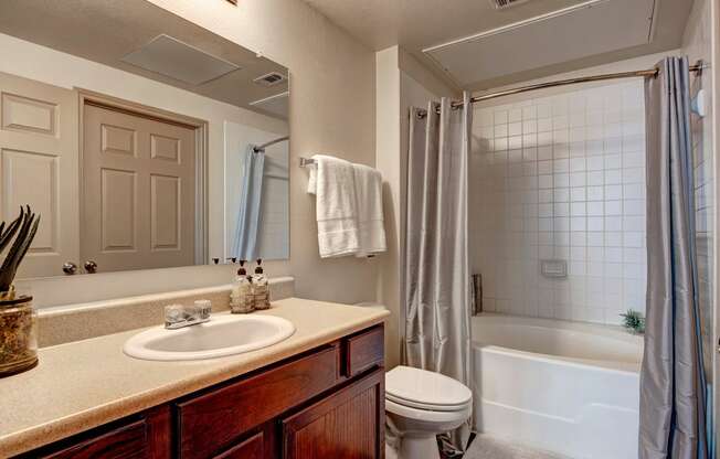 Aviare Arts Bathroom