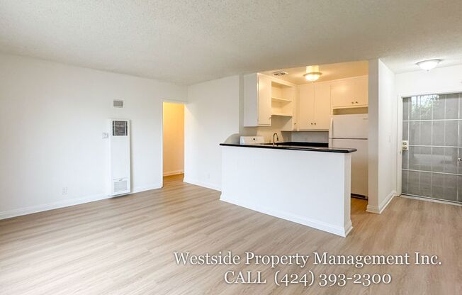 1138 Euclid St.
