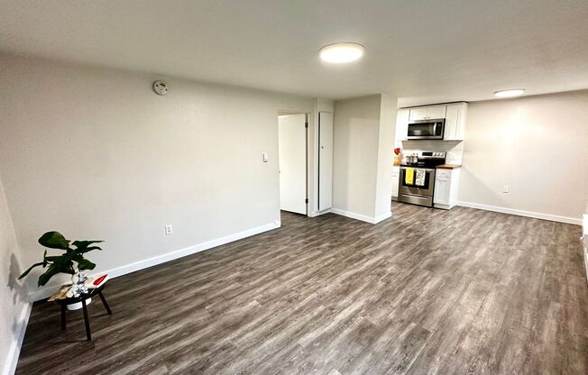 Newly remodeled one-bedroom apartment in Tacoma's South End