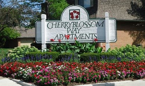 Cherryblossom Way