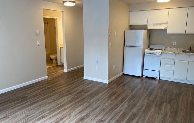 1 bed, 1 bath, 460 sqft, $1,395, Unit 212