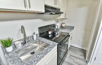 Gallery - Apartment 2