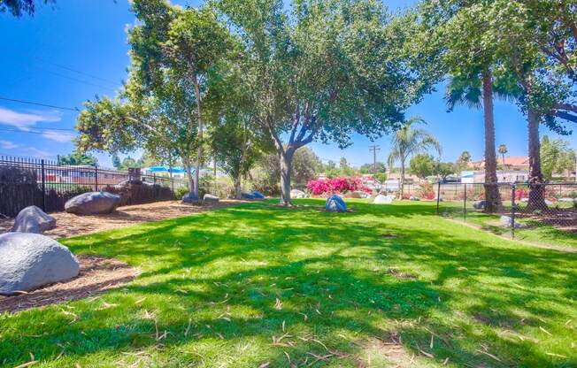 a park with grass and trees and a playground