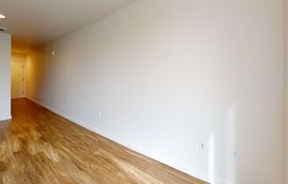 Studio, 1 bath, 338 sqft, $1,250, Unit 302