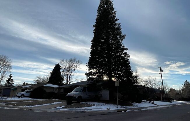 4 Bedroom Ranch House - Prime Location Minutes from Cherry Creek!