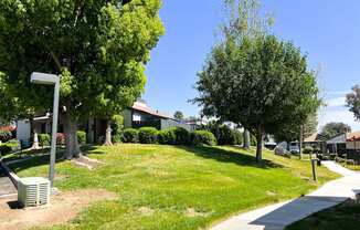 Grassy treed walkway at Dove Ridge Apartments.