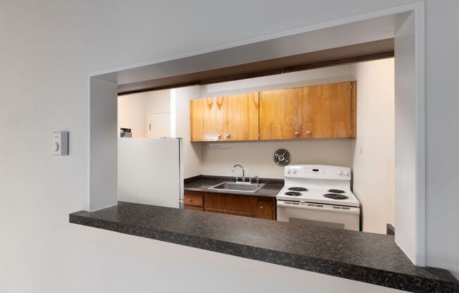 Studio, 1 bath, 384 sqft, $1,445, Unit 403