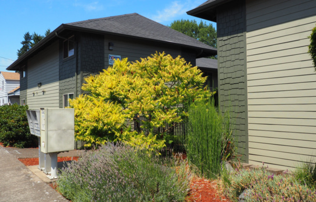 386-01 Harrison Court Corvallis LLC