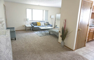 1 bed, 1 bath, 700 sqft, $795, Unit 24-7319