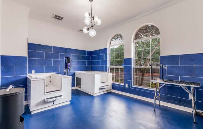 A room with blue floors and white walls has a window with a view of trees.