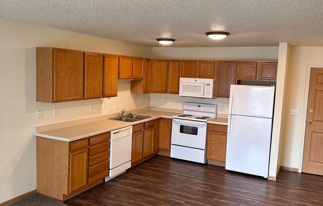 2 beds, 1 bath, 1,000 sqft, $915, Unit 310
