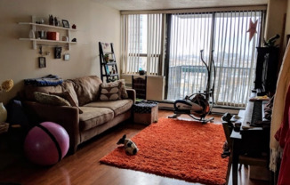 2740 N Pine Grove Ave, Chicago IL 19D