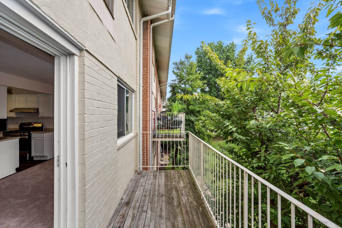 Alexandria Apartments
