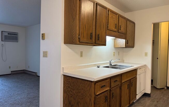 1 bed, 1 bath, 780 sqft, $690, Unit 303