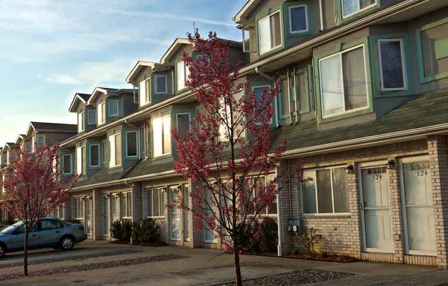 Seaview Apartments