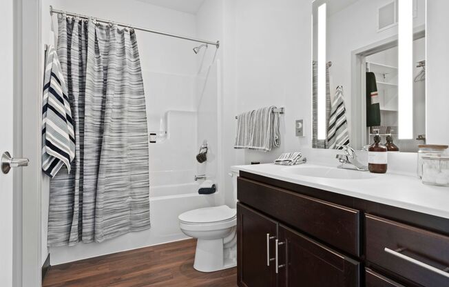 Studio, 1 bath, 439 sqft, $1,095, Unit 501