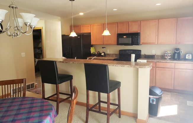 Fully Furnished 2 Bedroom Condo - All utilities, cable and internet provided!