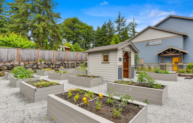 Avaya Trails community garden with raised planter boxes or growing items on-site. 