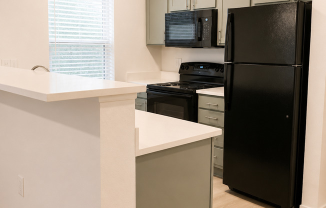 Creative Apartment Living in the Heart of Austin