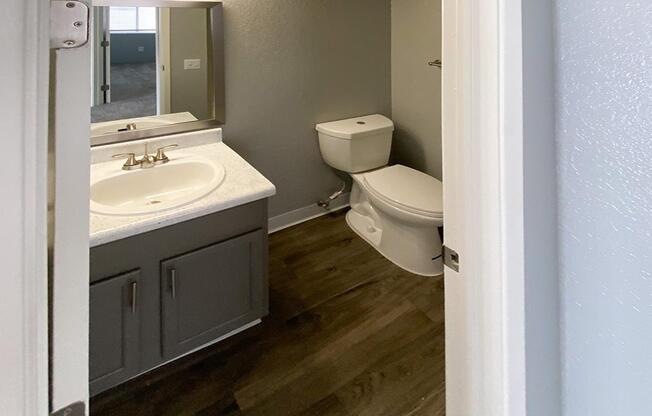 a restroom with a sink and a mirror