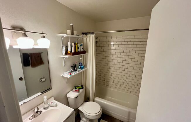 1 bed, 1 bath, $1,095, Unit 305
