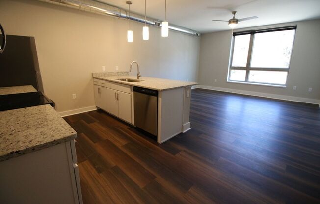 1 bed, 1 bath, 533 sqft, $1,425, Unit APT 332