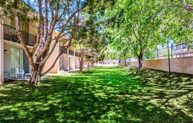 Studio, 1 bath, 331 sqft, $799, Unit 264