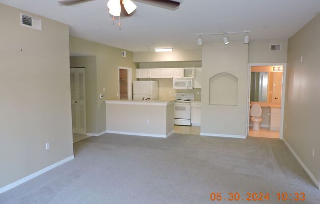 1 bd /  1 ba condo at The Palms Club community