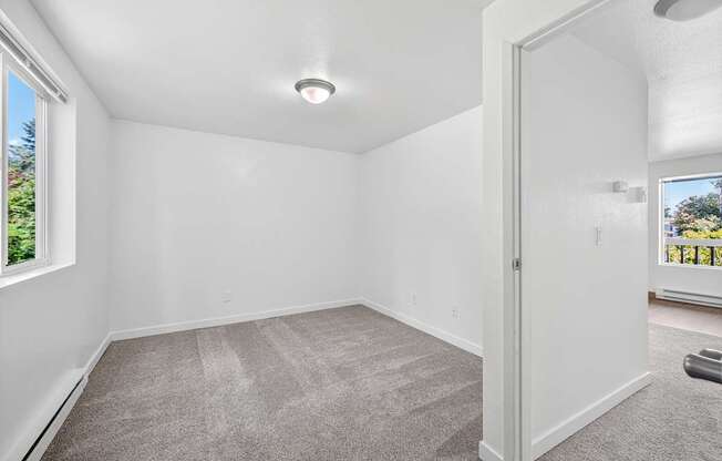A room with a carpeted floor and a window showing a view of trees.