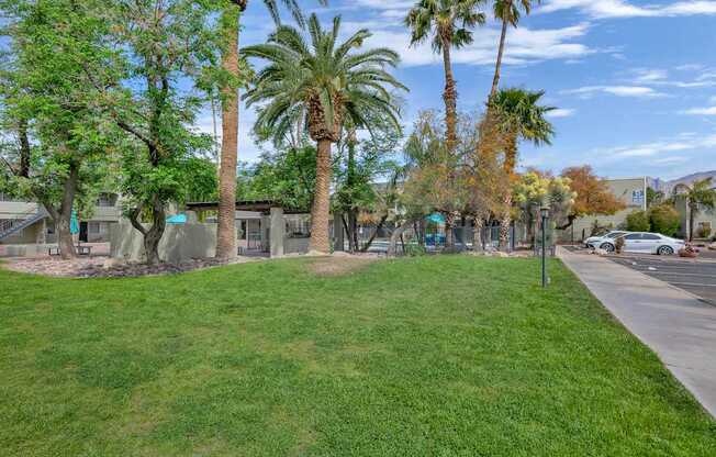 A grassy area with palm trees and a building in the background.