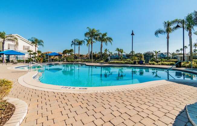 Resort Style Pool at 2211 Grand Isle, Florida, 33511