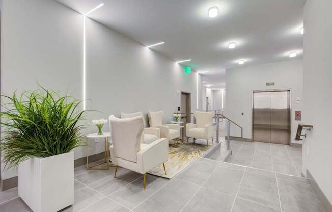A waiting room with chairs and a plant.