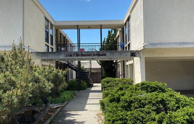 3263 Belmont