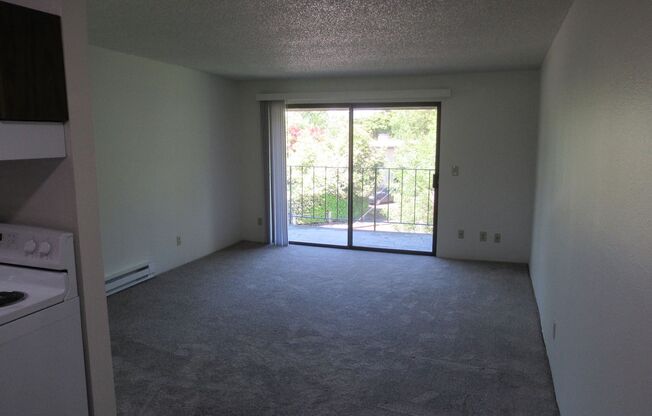 1 bed, 1 bath, 580 sqft, $995, Unit 38