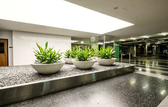 a row of plants on a counter in an airport lobby