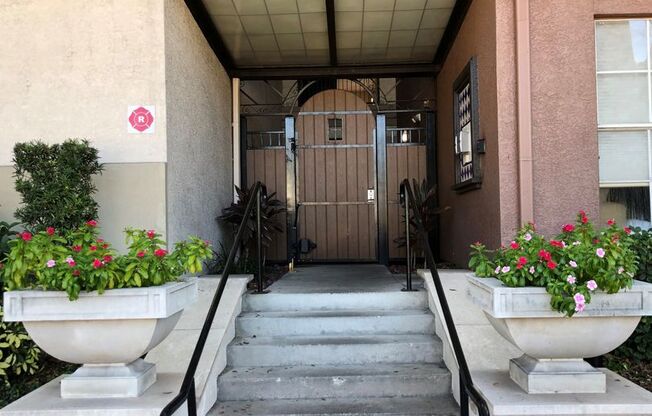 2411 W. Horatio St #514