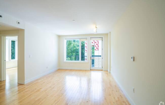 A room with wooden floors and a large window with a view of trees and a building outside at 603 Concord Apartments, Massachusetts, 02138